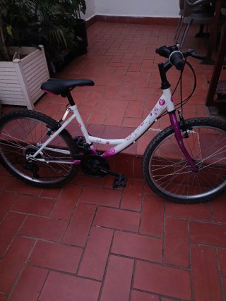 Bicicleta infantil blanca y morada
