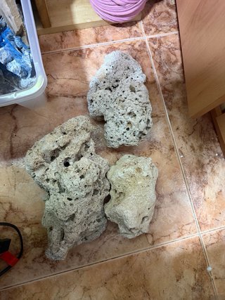 Acuario