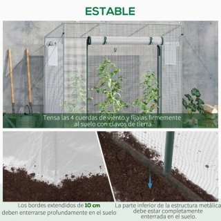 Invernadero para plantas