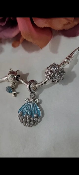 Precioso conjunto de charms