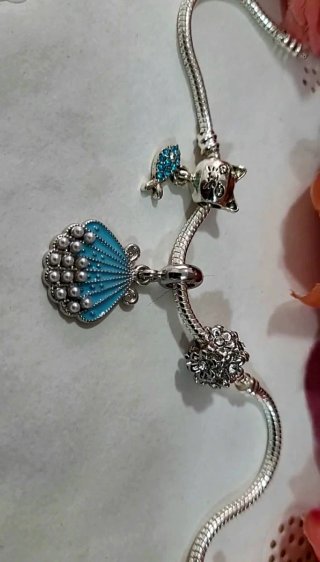 Precioso conjunto de charms
