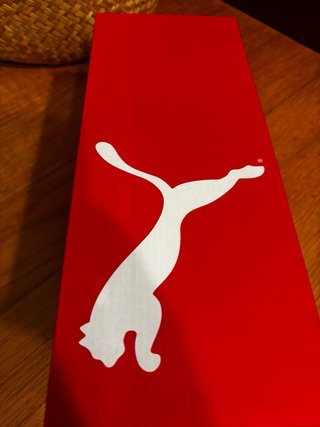 Chanclas Puma Purecat 2.0 Talla 48