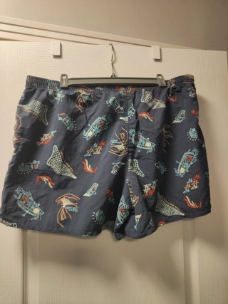 Pantalón corto Patagonia baggies con stampa