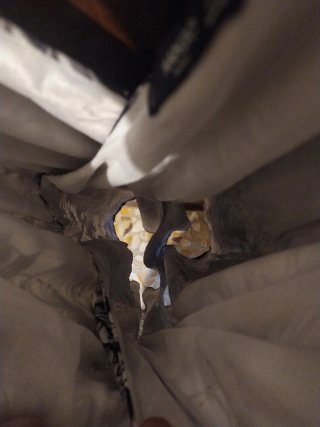 Vestito pantaloncino fantasia tropicale
