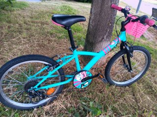 Bicicleta niña 20 pulgadas