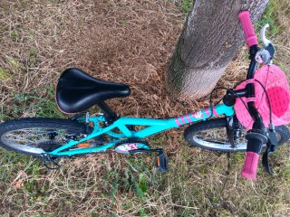 Bicicleta niña 20 pulgadas