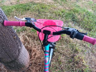 Bicicleta niña 20 pulgadas