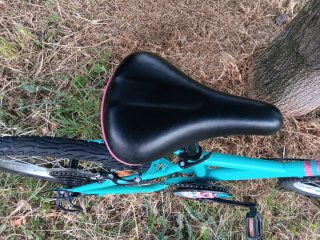 Bicicleta niña 20 pulgadas
