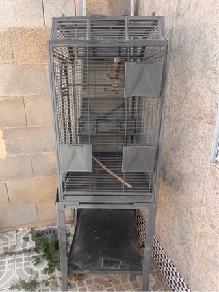 Jaula Grande Estilo Montana para Aves
