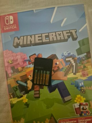 Minecraft Nintendo Switch