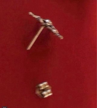Pendientes Flor Eguzkilore Plata
