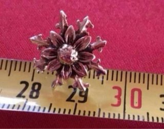 Pendientes Flor Eguzkilore Plata