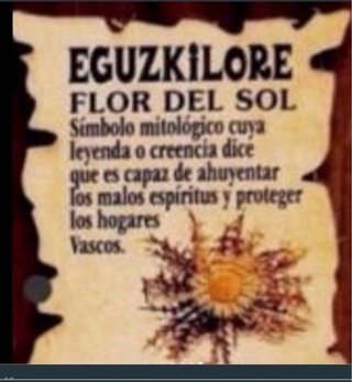 Pendientes Flor Eguzkilore Plata