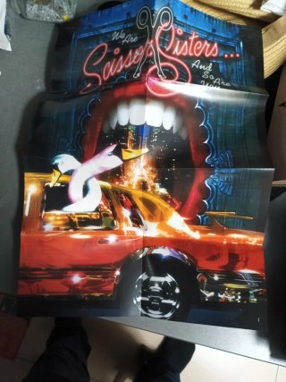 Scissor Sisters DVD We Are Scissor Sisters