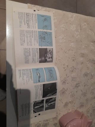 Libro de instrucciones renault supercinco