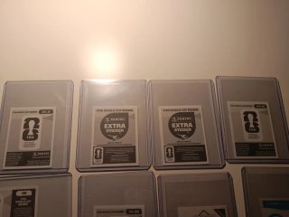 Cartas Panini Mundial 2026 y 2022
