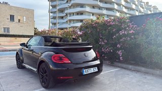 Volkswagen Beetle 2015 687973047