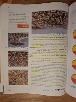 Geografia Euskera 2 Bachillerato-  como nuevo