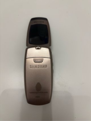 Samsung SGH-X500 Libre Funcional Vintage +cargador