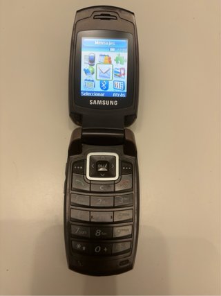 Samsung SGH-X500 Libre Funcional Vintage +cargador