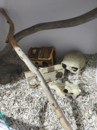 Accesorios, roedores, reptiles y demas