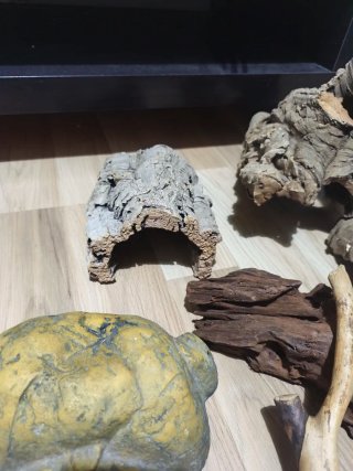 Accesorios, roedores, reptiles y demas