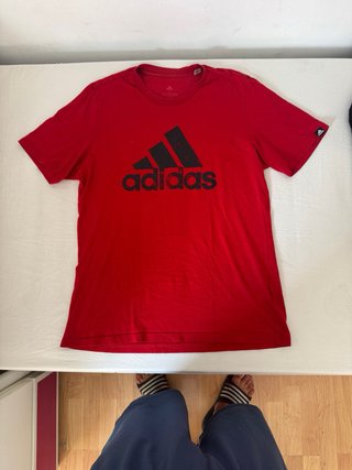 Lote 6 Camisetas Varias Tallas Únicas