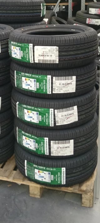 2Neumáticos Roadcruza 205/55R16 91V