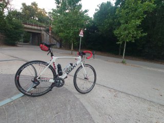 Giant TCR Talla 56 Carbono Ultegra 11v