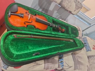 Funda de viola verde