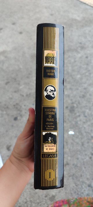 Libro ilustrado Nuestra señora de Paris I. de Vict