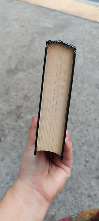 Libro ilustrado Nuestra señora de Paris I. de Vict