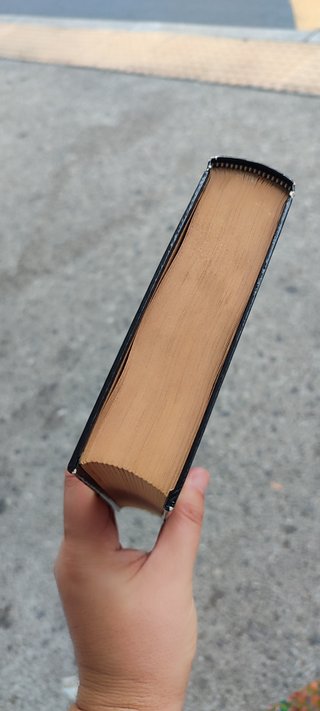 Libro ilustrado Nuestra señora de Paris I. de Vict