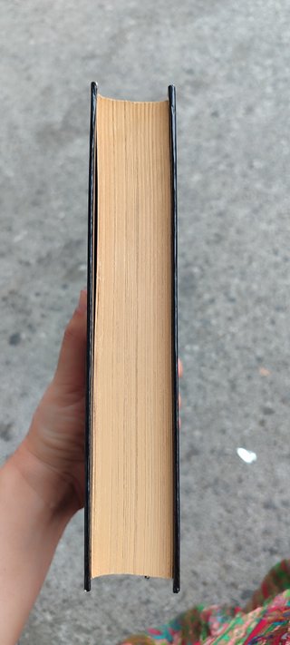 Libro ilustrado Nuestra señora de Paris I. de Vict