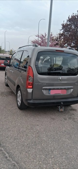 Peugeot Partner 2010