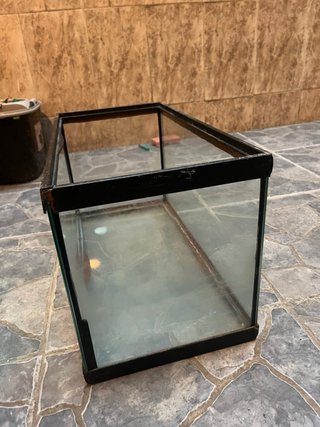 Tortuguera cristal negra