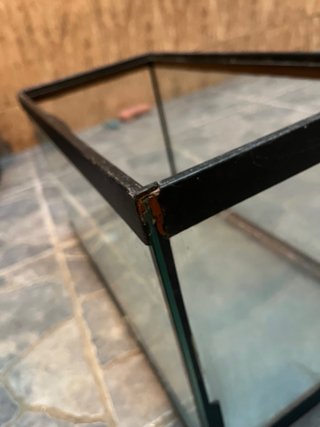 Tortuguera cristal negra