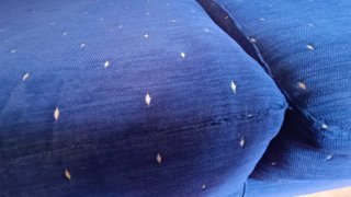 Sofá cama azul sin colchón