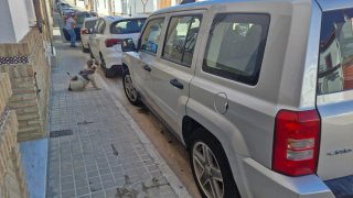 Jeep Patriot 2008