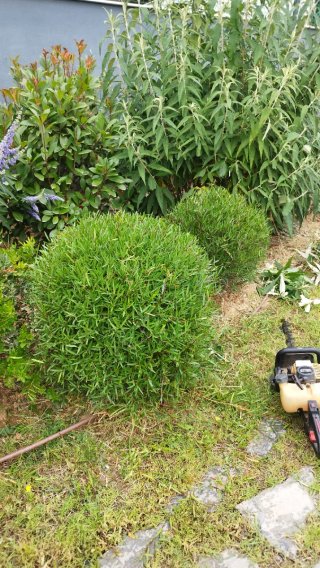 Lj  Mantenimiento de jardines y piscina