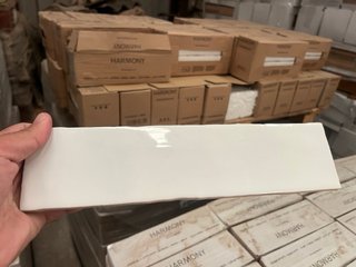 Liquidación Azulejos Blanco Brillo 7,5x30