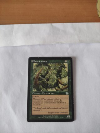 Mtg Puro músculo