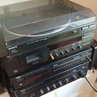 Giradischi Sony PS-LX45 Nero