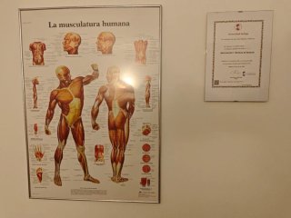 Masajista Deportivo/Quiropráctico