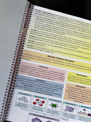 Libro Biologia 2 bachillerato Resumen