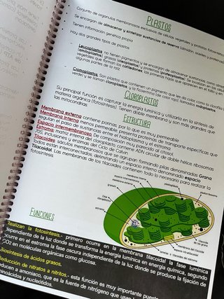 Libro Biologia 2 bachillerato Resumen
