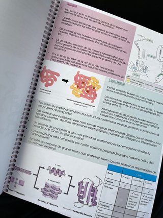 Libro Biologia 2 bachillerato Resumen
