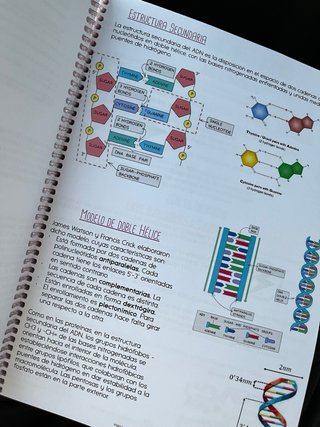 Libro Biologia 2 bachillerato Resumen