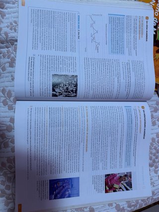 1 Bachillerato, Economía Revuela