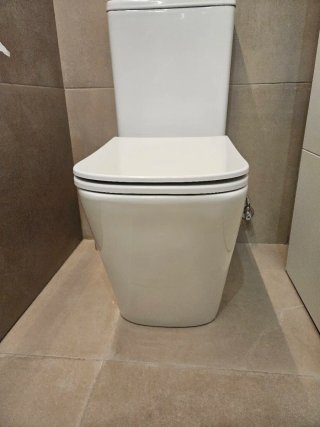 Inodoro porcelana blanco